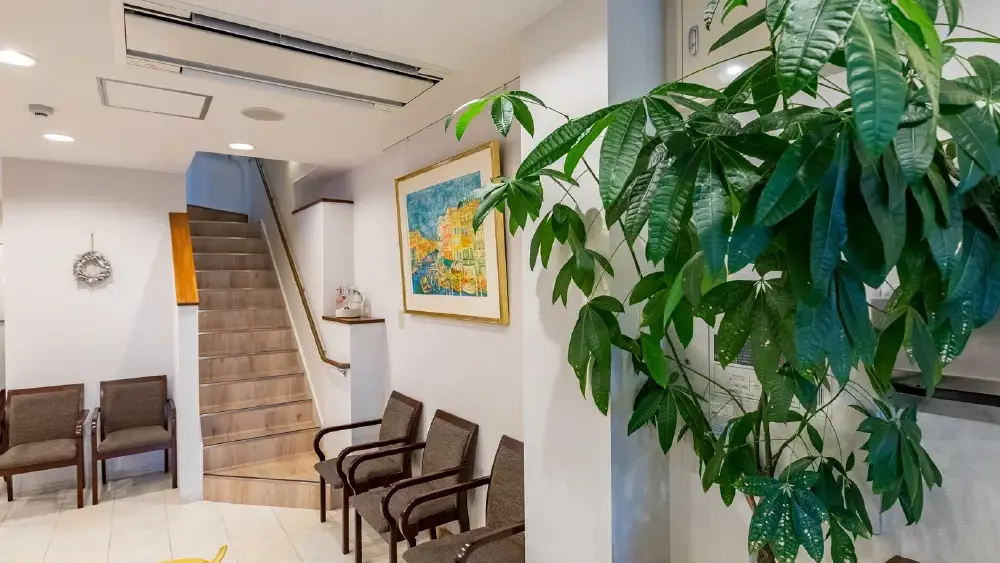 こせき矯正歯科 紹介の画像