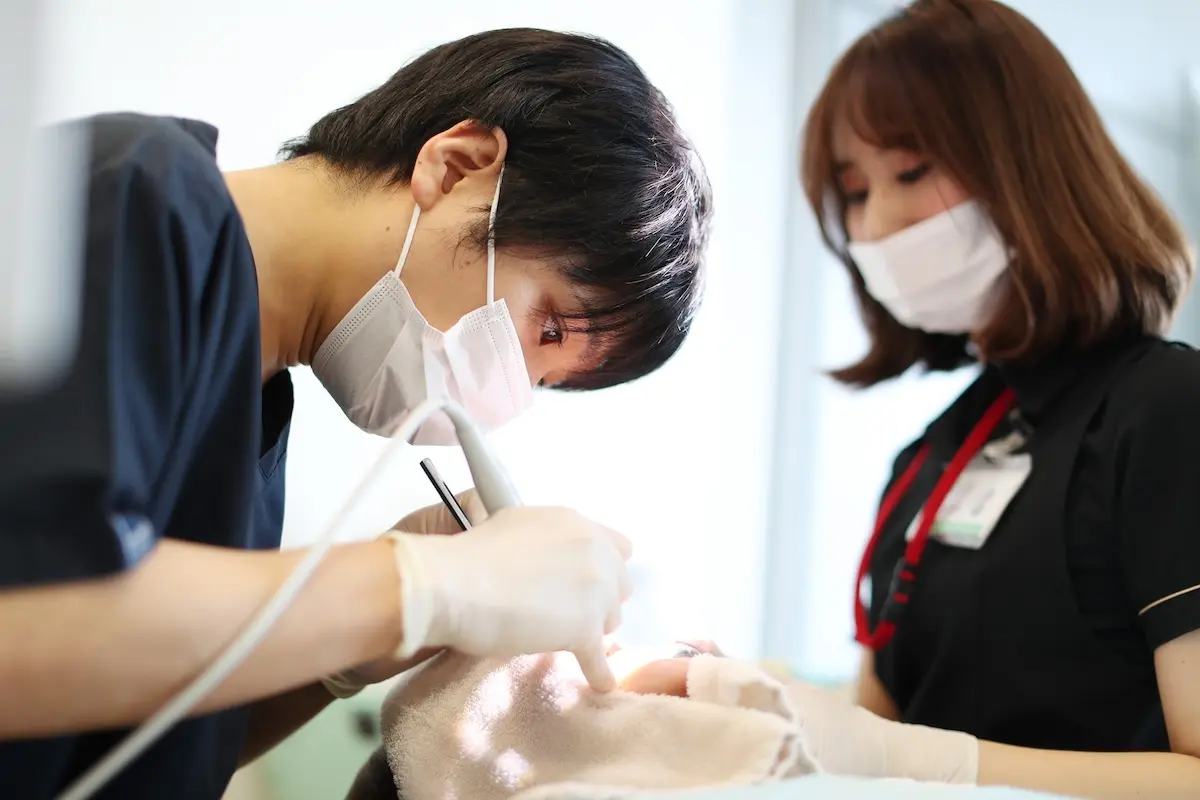 医療法人真摯会 なんばクローバー歯科 医療法人真摯会 なんばクローバー歯科の画像