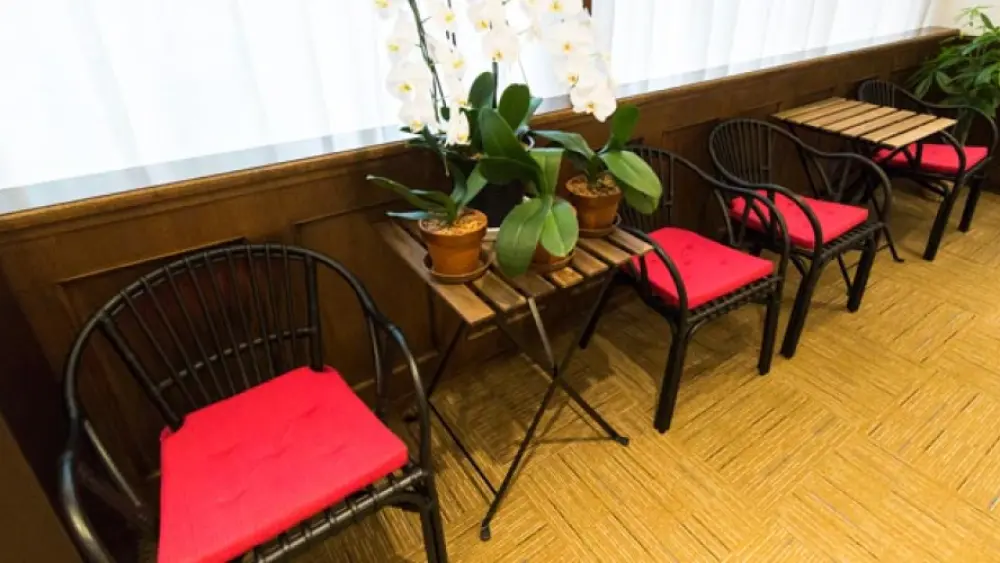 Silver Lace矯正歯科 紹介の画像