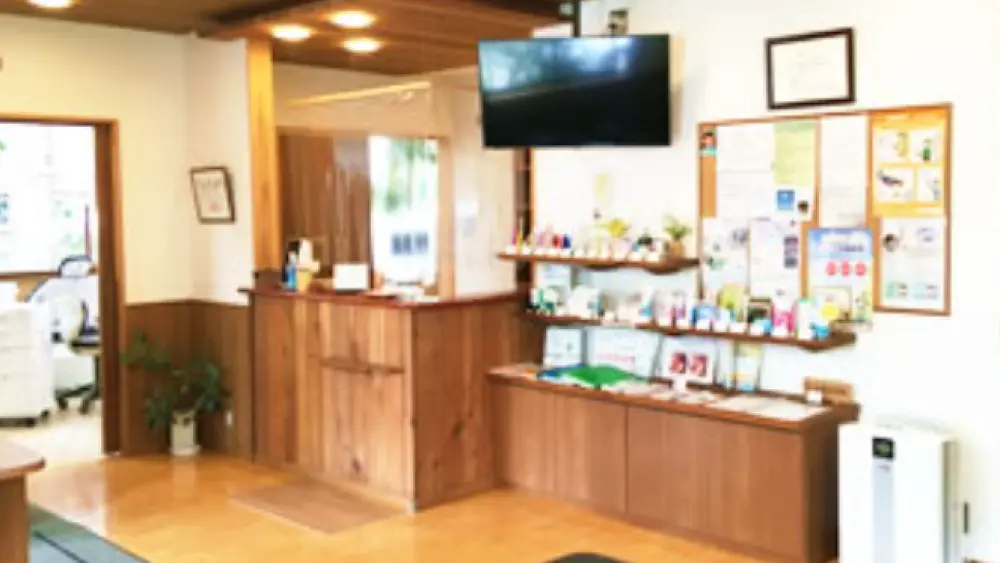 医療法人社団和美会 なんば歯科医院 マウスピース矯正の画像