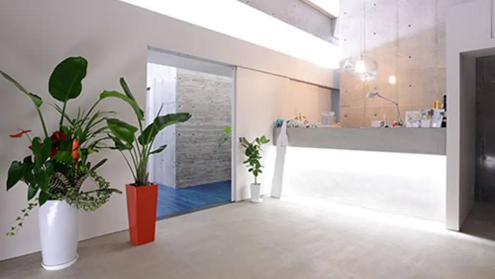 臣歯科診療所 紹介の画像