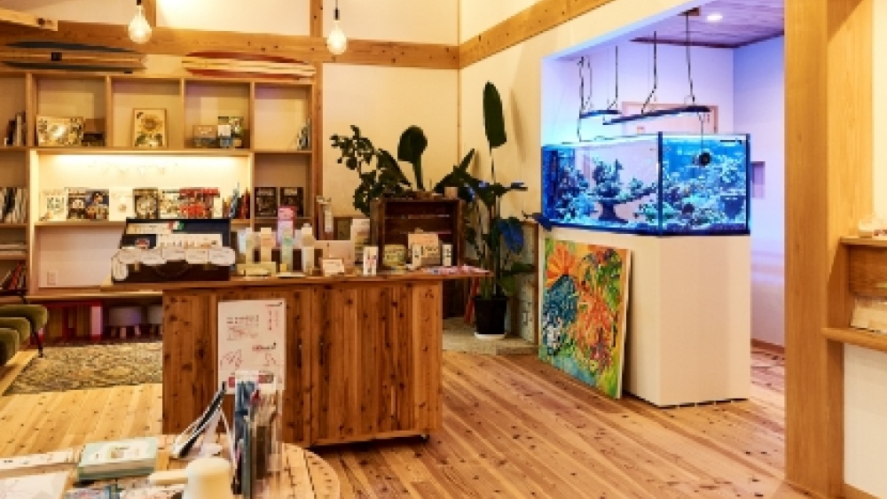 ワラワラデンタルクリニック 紹介の画像