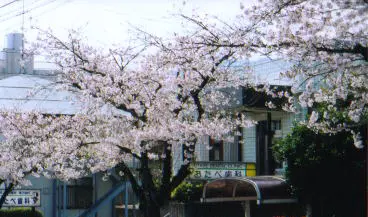 おたべ歯科医院 マウスピース矯正の画像