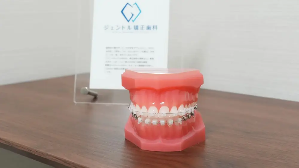 ジェントル矯正歯科  認定医・臨床医・指導医の画像