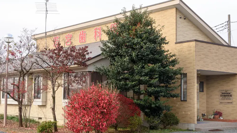 若宮歯科医院 小児矯正の画像