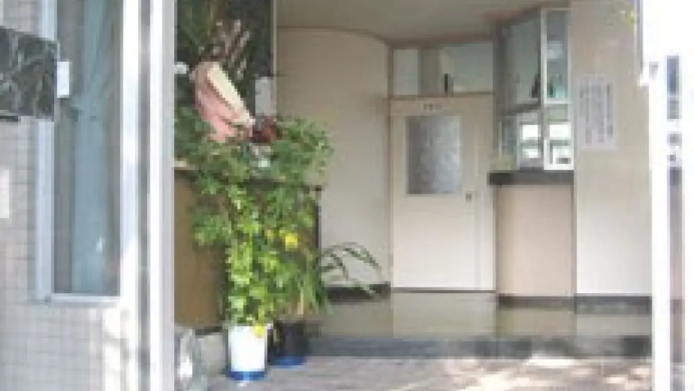 平林矯正歯科 矯正歯科の画像