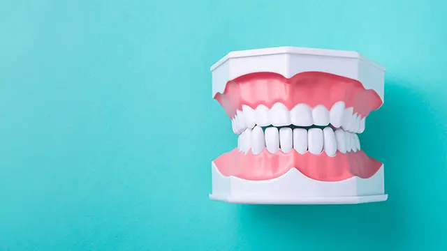 どんな歯並び・骨格の場合が顔が短くなる変化が期待できる？画像