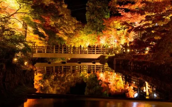 愛知県瀬戸市の記事一覧の画像