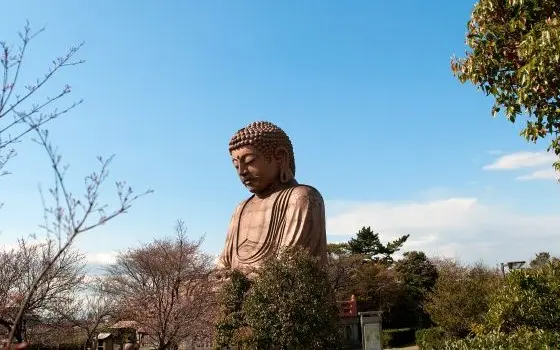 愛知県東海市の記事一覧の画像