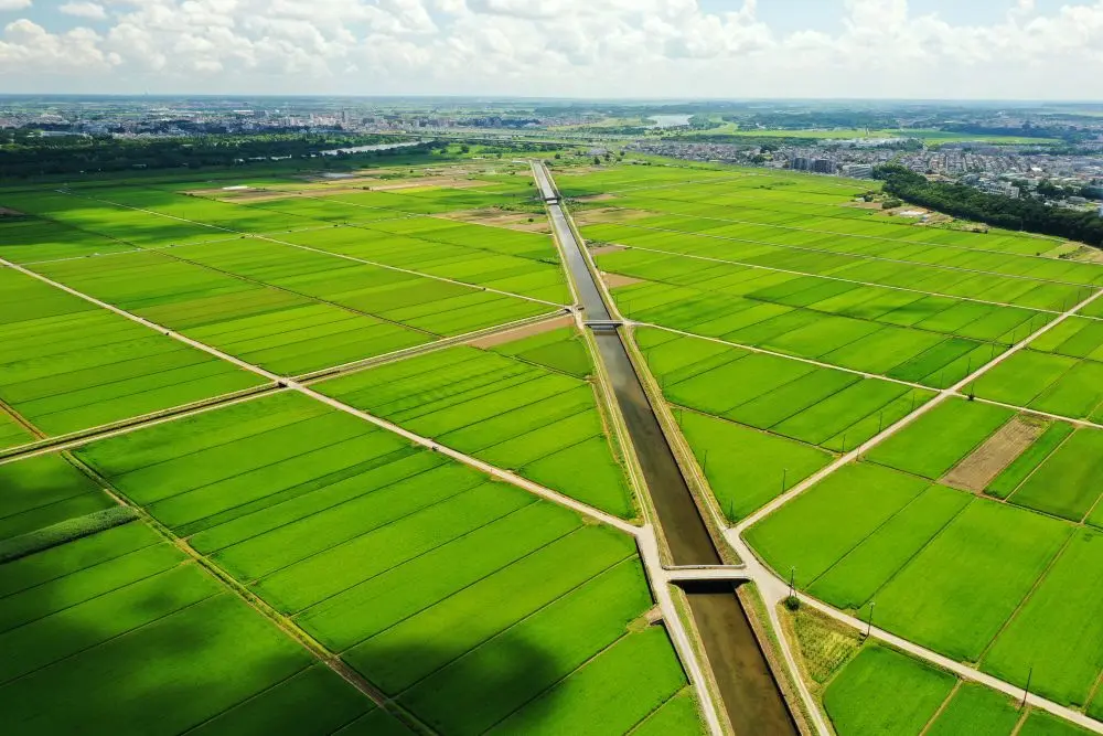 千葉県我孫子市でおすすめの矯正歯科医院の画像