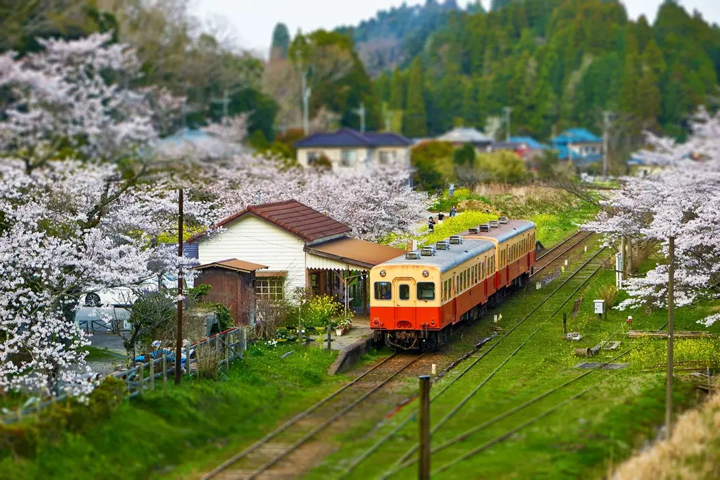 千葉県市原市でおすすめの矯正歯科医院の画像