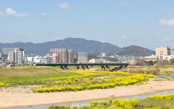 福岡県飯塚市の記事一覧の画像