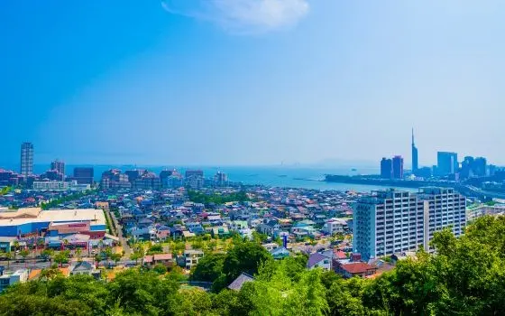 福岡市城南区の記事一覧の画像