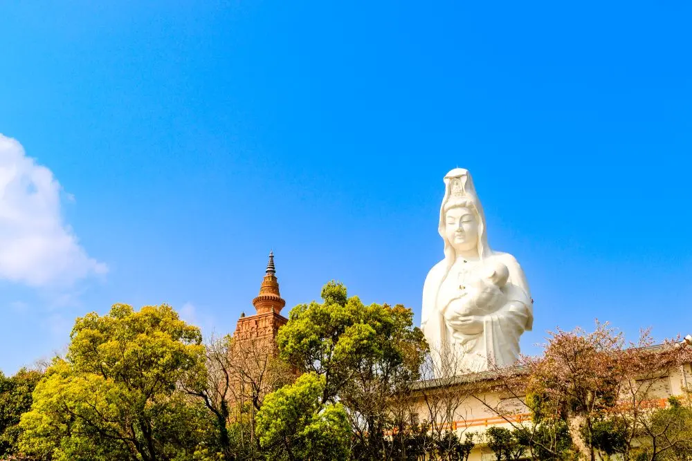 福岡県久留米市でおすすめの矯正歯科医院の画像