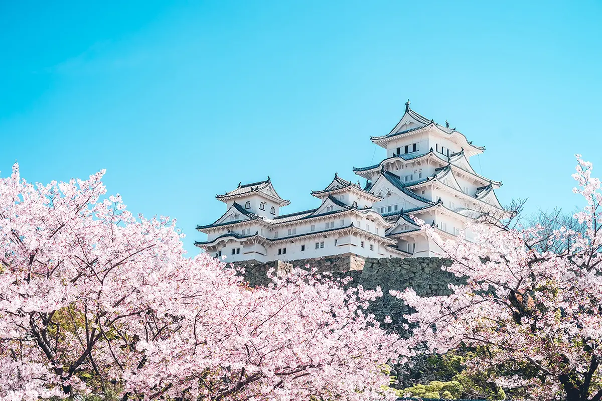 兵庫県姫路市でおすすめの矯正歯科医院の画像