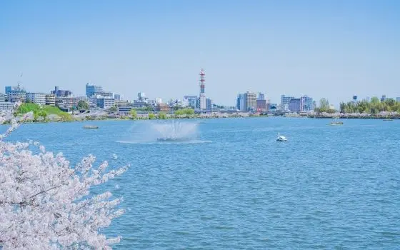 茨城県水戸市の記事一覧の画像