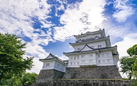 神奈川県小田原市の記事一覧の画像