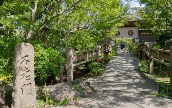 神奈川県大和市の記事一覧の画像