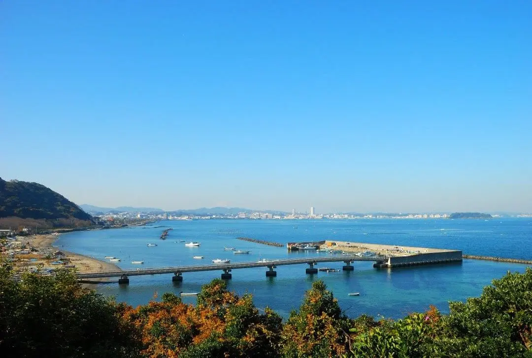 神奈川県横須賀市でおすすめの矯正歯科医院の画像