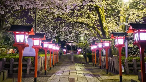 京都市南区でおすすめの矯正歯科医院の画像
