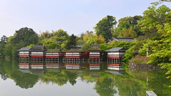 京都府長岡京市でおすすめの矯正歯科医院の画像