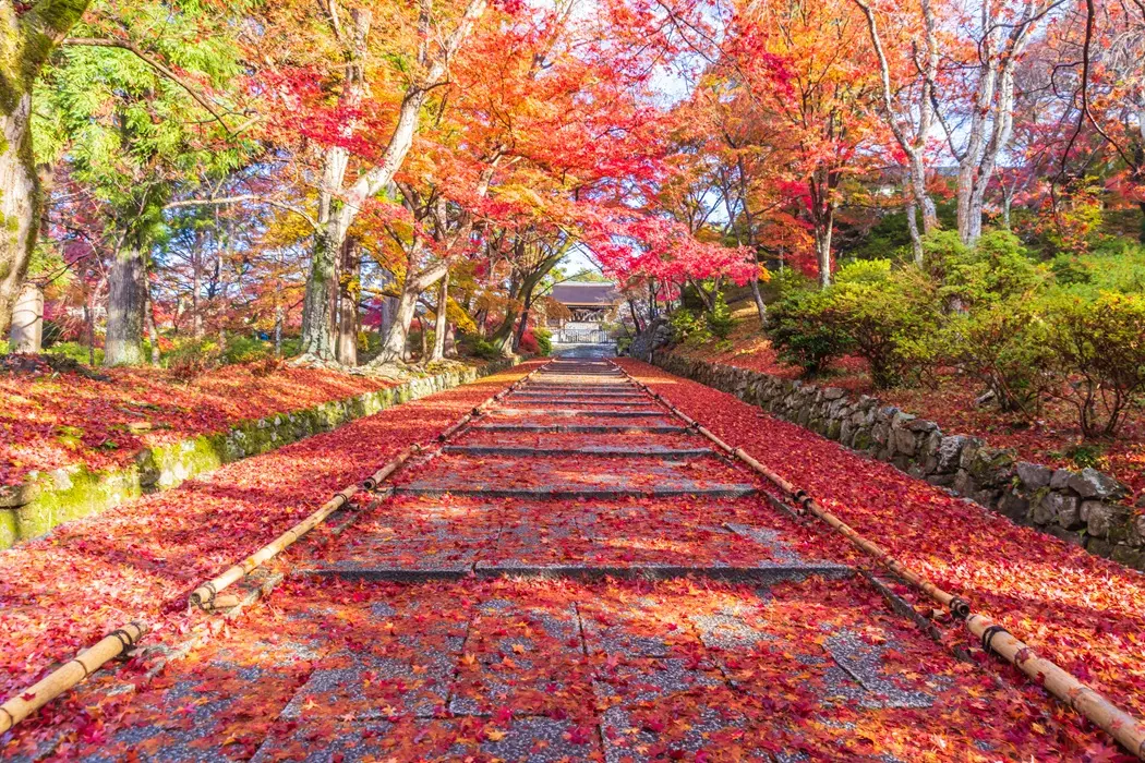 京都市山科区の記事一覧の画像