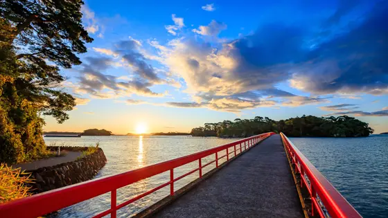 宮城県でおすすめの矯正歯科医院の画像