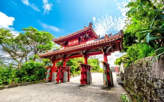 沖縄県那覇市の記事一覧の画像