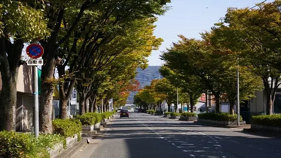 大阪府門真市でおすすめの矯正歯科医院の画像