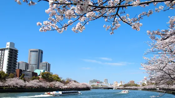 【2024年】大阪市都島区でおすすめの矯正歯科医院の画像