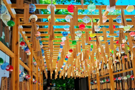 埼玉県川越市の記事一覧の画像