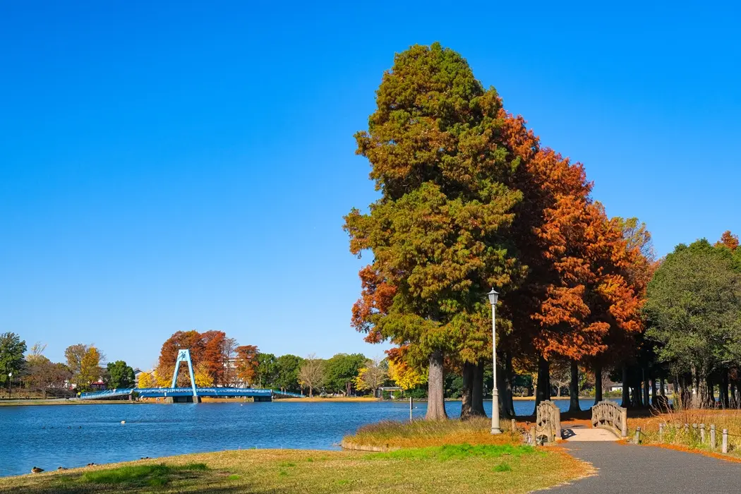 埼玉県三郷市の記事一覧の画像