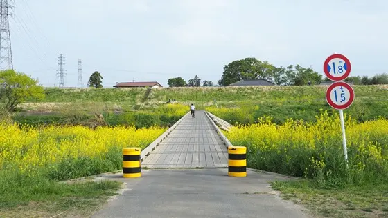埼玉県坂戸市でおすすめの矯正歯科医院の画像