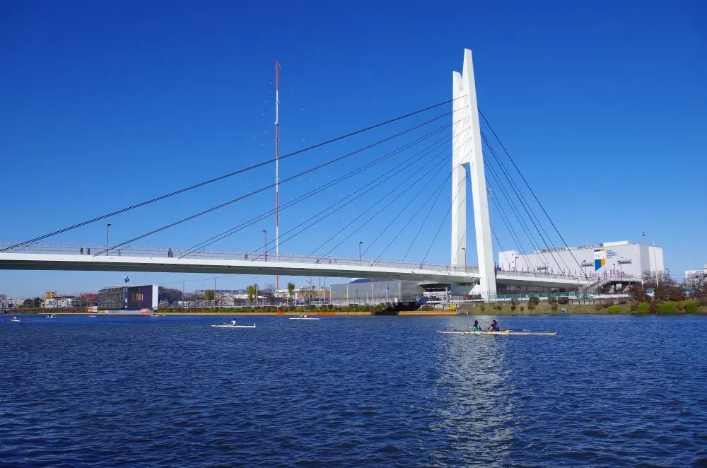 埼玉県戸田市でおすすめの矯正歯科医院の画像