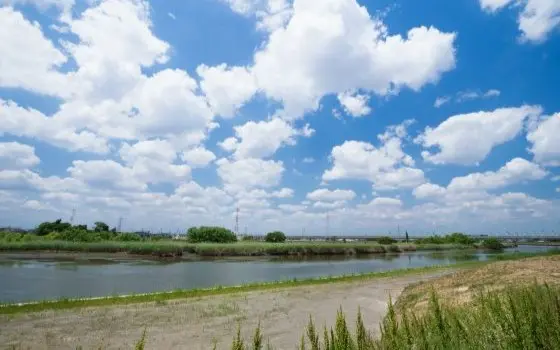埼玉県八潮市の記事一覧の画像