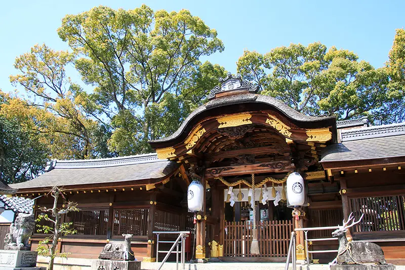 滋賀県草津市でおすすめの矯正歯科医院の画像