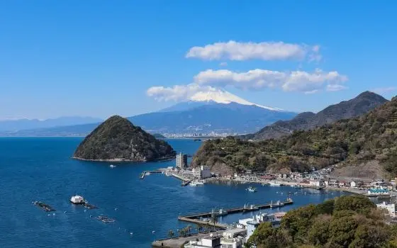 静岡県沼津市の記事一覧の画像