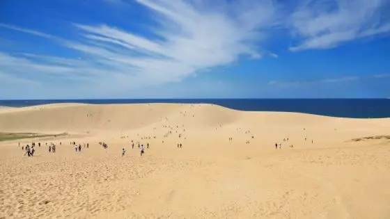 鳥取県でおすすめの矯正歯科医院の画像
