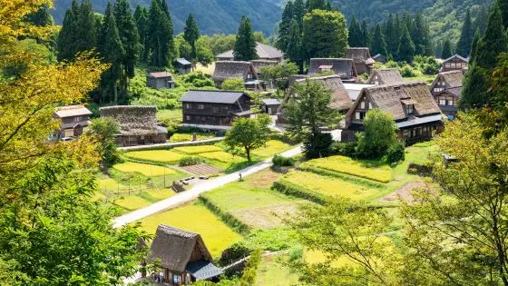 富山県でおすすめの矯正歯科医院の画像