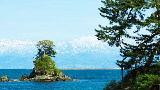 富山県高岡市でおすすめの矯正歯科医院の画像